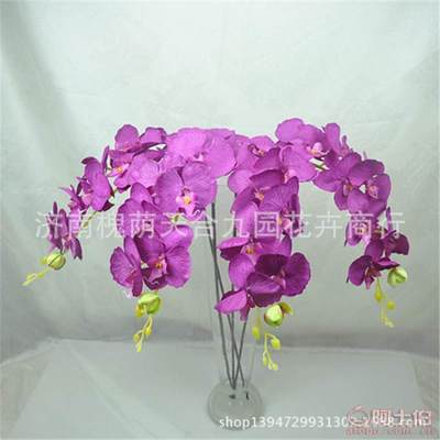 濟南槐蔭天合九園花卉商行 蝴蝶蘭仿真花批發市場的新選擇
